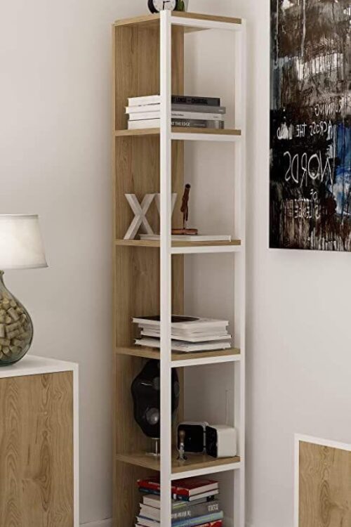 Book Shelf (2\5)